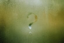 exploring zuivozraxkronosquz concept