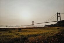 uncover fraudulent connections revealed